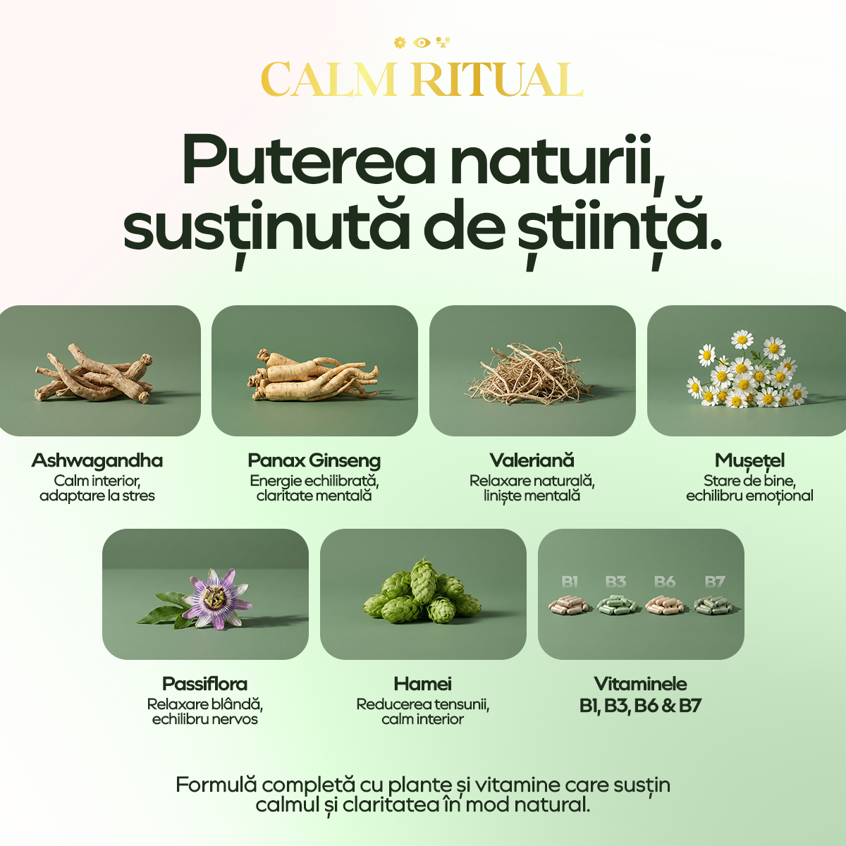 Calm Ritual, 90 capsule, Vedali — Calm & Claritate Zilnică