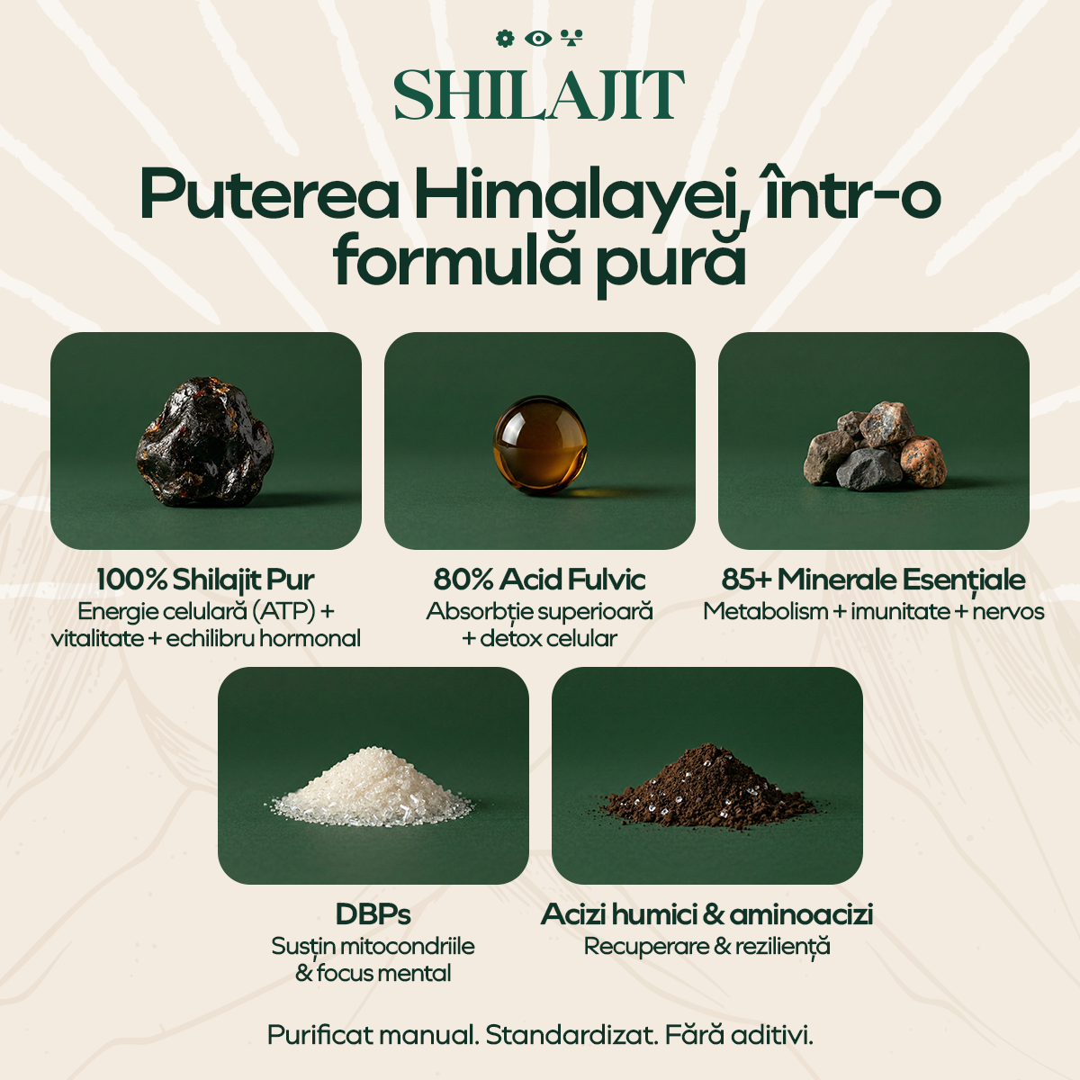 Shilajit, 120 capsule, Vedali — Energie & Claritate Naturală