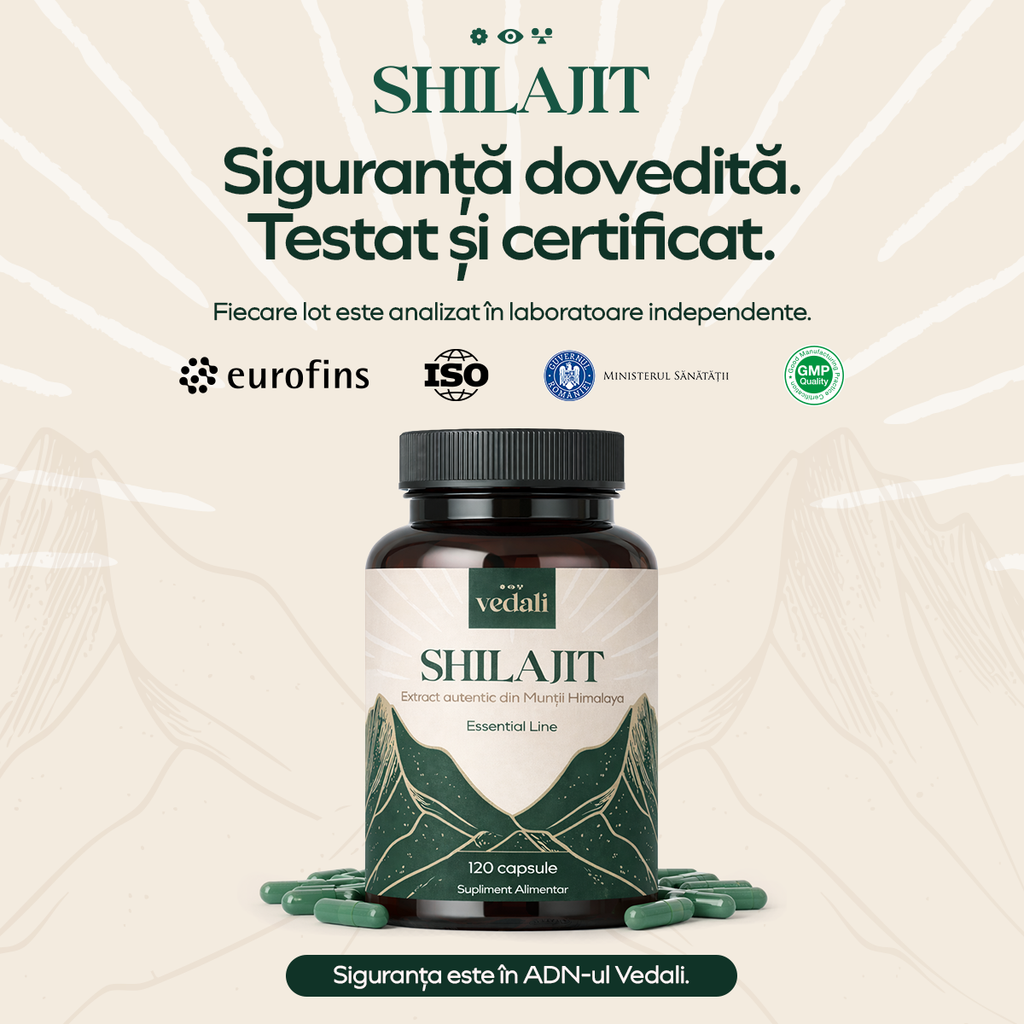 Shilajit, 120 capsule, Vedali — Energie & Claritate Naturală
