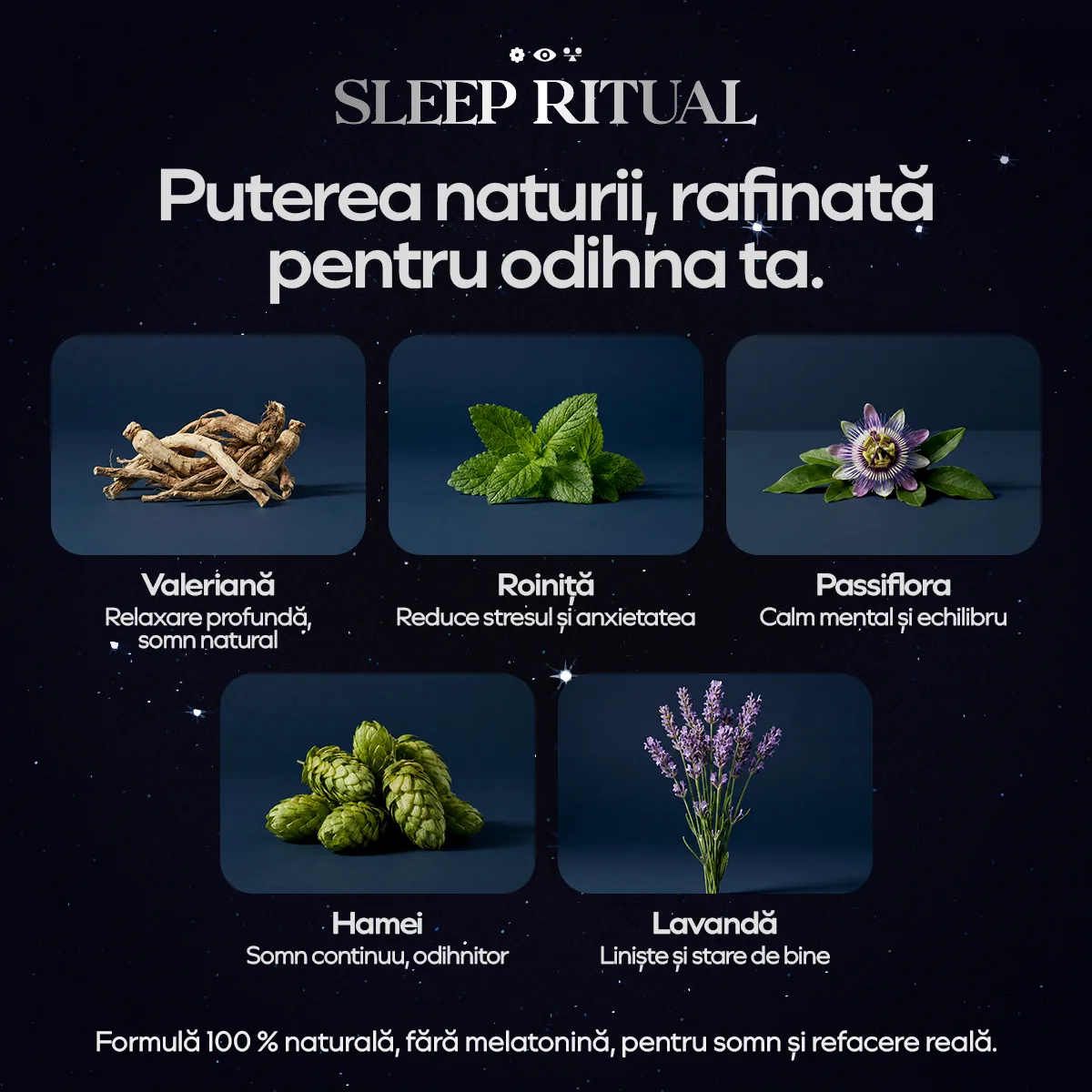 Compoziția Sleep Ritual — ashwagandha, ginseng, valeriană, mușețel, passiflora, hamei și vitaminele B