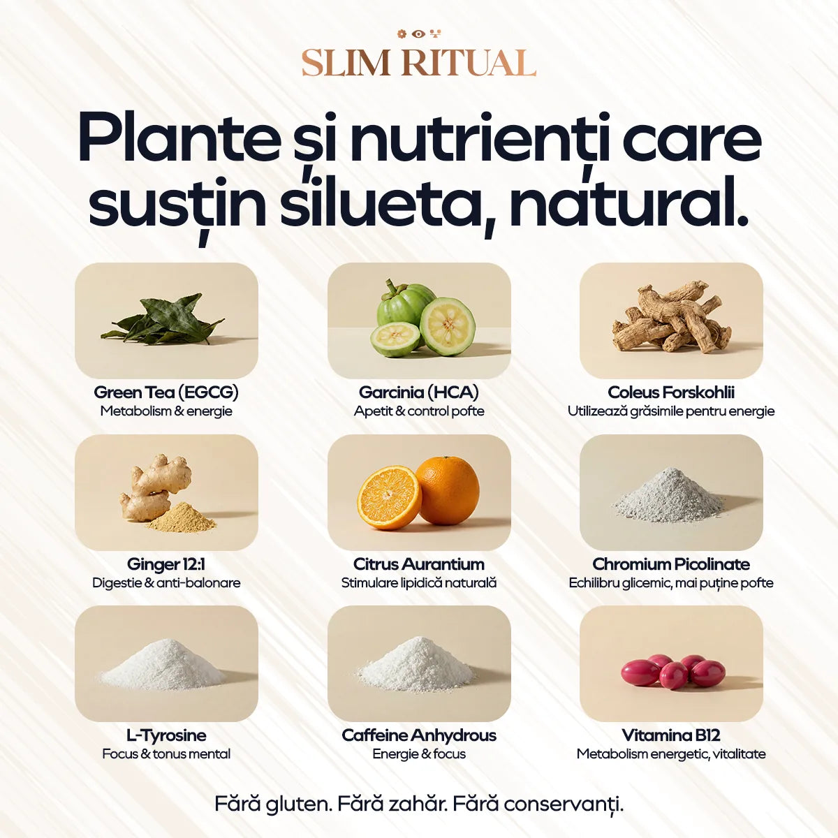 Ingredientele din Slim Ritual